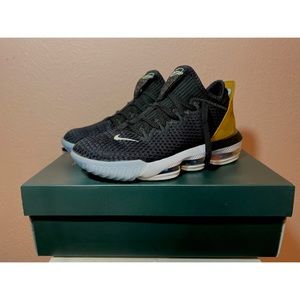 LEBRON XVI LOW
